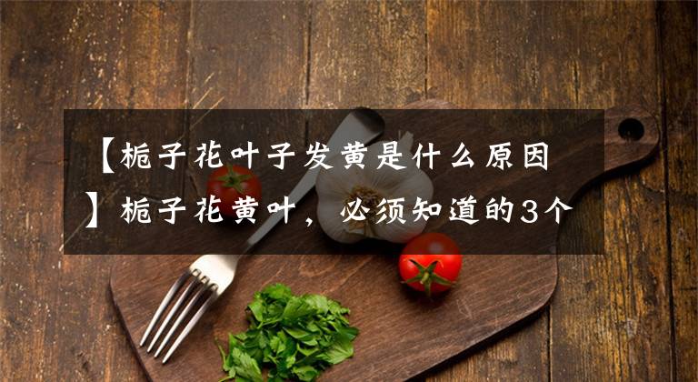 【栀子花叶子发黄是什么原因】栀子花黄叶，必须知道的3个原因，对症下药，才是最好的解决办法