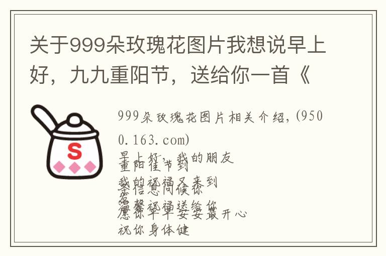 关于999朵玫瑰花图片我想说早上好，九九重阳节，送给你一首《999朵玫瑰花》，愿您幸福长久