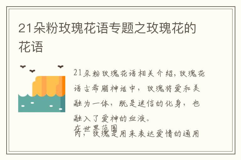 21朵粉玫瑰花语专题之玫瑰花的花语