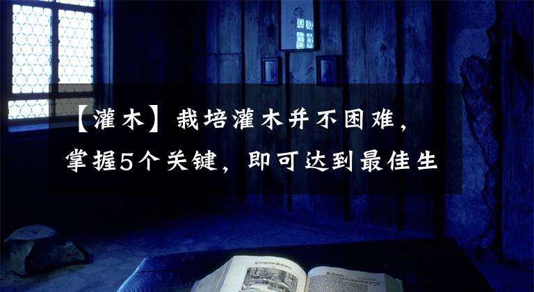 【灌木】栽培灌木并不困难，掌握5个关键，即可达到最佳生长状态