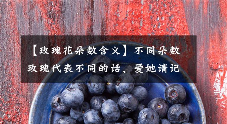 【玫瑰花朵数含义】不同朵数玫瑰代表不同的话，爱她请记住