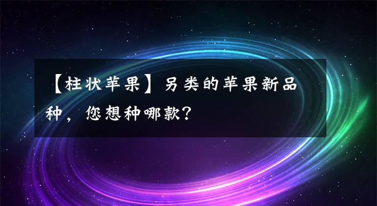 【柱状苹果】另类的苹果新品种，您想种哪款？