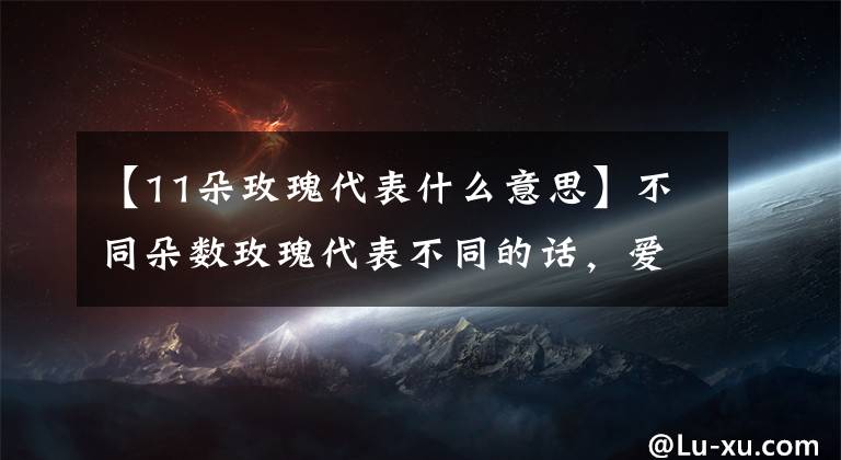 【11朵玫瑰代表什么意思】不同朵数玫瑰代表不同的话，爱她请记住