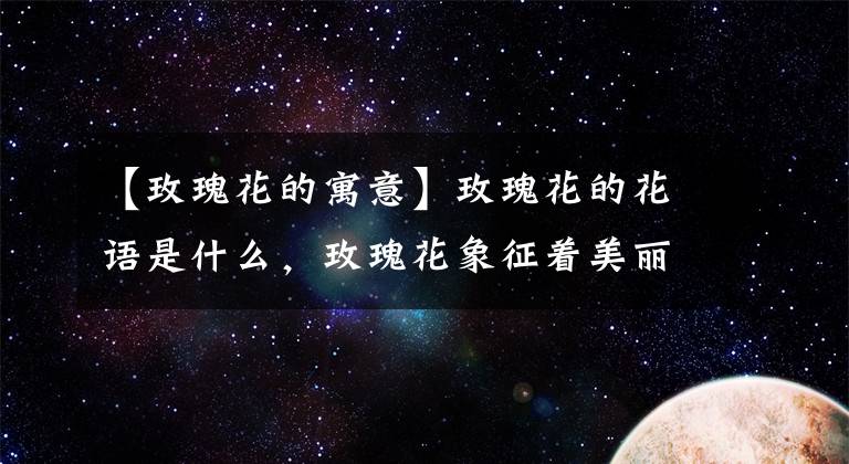 【玫瑰花的寓意】玫瑰花的花语是什么，玫瑰花象征着美丽的爱情