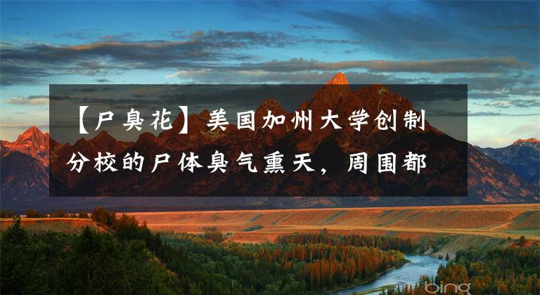 【尸臭花】美国加州大学创制分校的尸体臭气熏天，周围都是围观者。