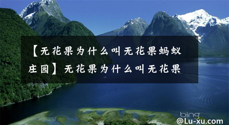 【无花果为什么叫无花果蚂蚁庄园】无花果为什么叫无花果？无花果有什么暗示？