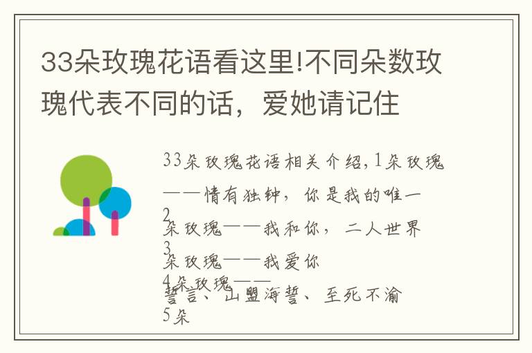 33朵玫瑰花语看这里!不同朵数玫瑰代表不同的话，爱她请记住