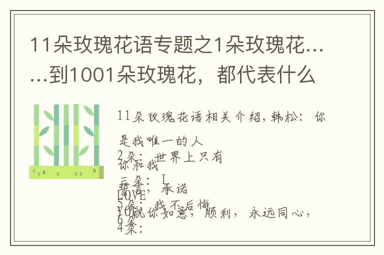 11朵玫瑰花语专题之1朵玫瑰花……到1001朵玫瑰花，都代表什么，你知道吗？