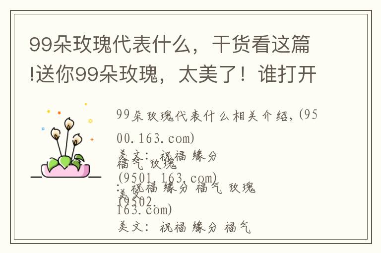 99朵玫瑰代表什么，干货看这篇!送你99朵玫瑰，太美了！谁打开就是缘分，就是祝福！