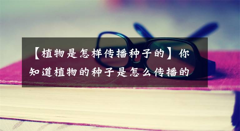 【植物是怎样传播种子的】你知道植物的种子是怎么传播的吗？英国小学生这样学