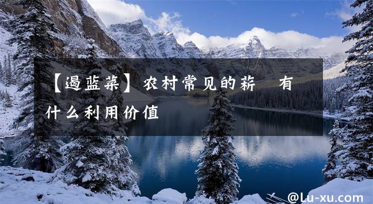【遏蓝菜】农村常见的菥蓂有什么利用价值