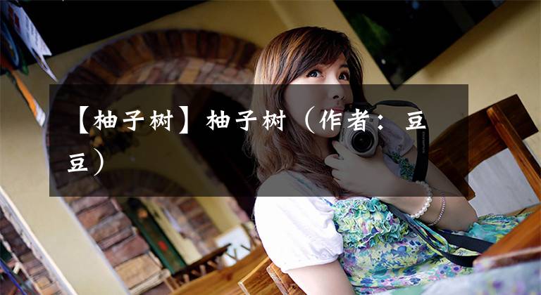 【柚子树】柚子树（作者：豆豆）