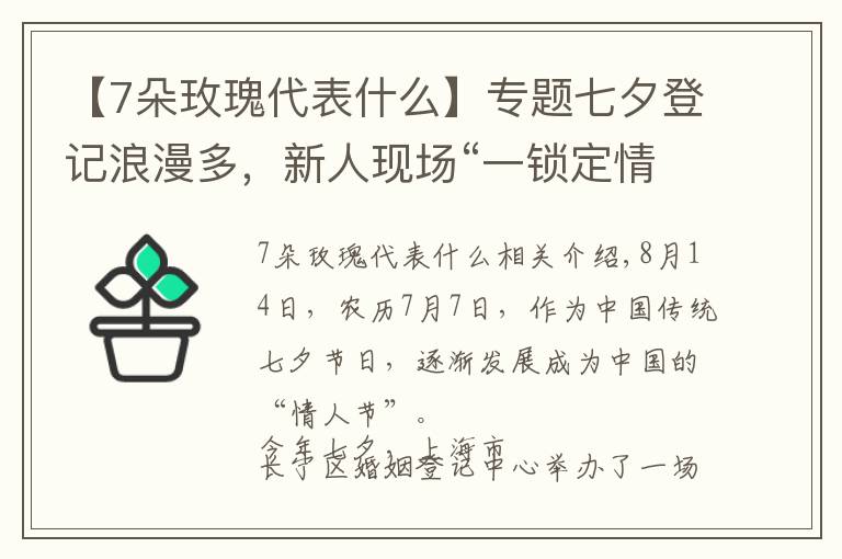 【7朵玫瑰代表什么】专题七夕登记浪漫多，新人现场“一锁定情”