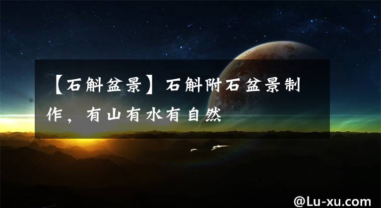 【石斛盆景】石斛附石盆景制作，有山有水有自然