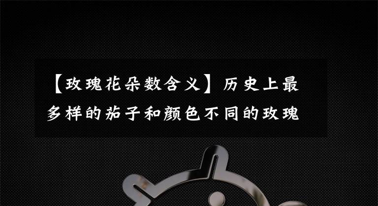 【玫瑰花朵数含义】历史上最多样的茄子和颜色不同的玫瑰代表的意思。