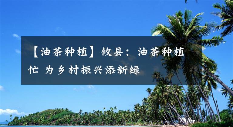 【油茶种植】攸县：油茶种植忙 为乡村振兴添新绿