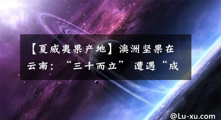【夏威夷果产地】澳洲坚果在云南：“三十而立” 遭遇“成长的烦恼”