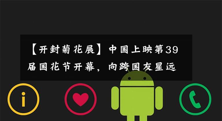 【开封菊花展】中国上映第39届国花节开幕，向跨国友星远方祝福