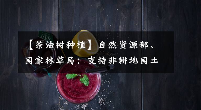 【茶油树种植】自然资源部、国家林草局：支持非耕地国土资源的利用，扩建油车。
