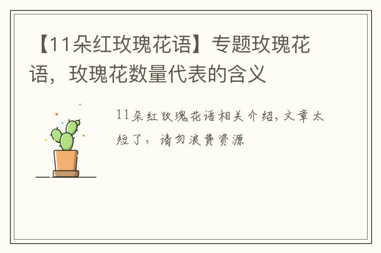 【11朵红玫瑰花语】专题玫瑰花语，玫瑰花数量代表的含义