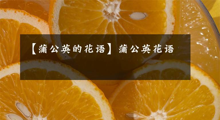 【蒲公英的花语】蒲公英花语
