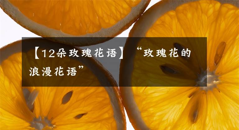 【12朵玫瑰花语】“玫瑰花的浪漫花语”