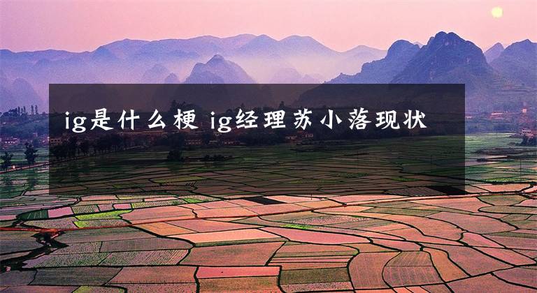 ig是什么梗 ig经理苏小落现状