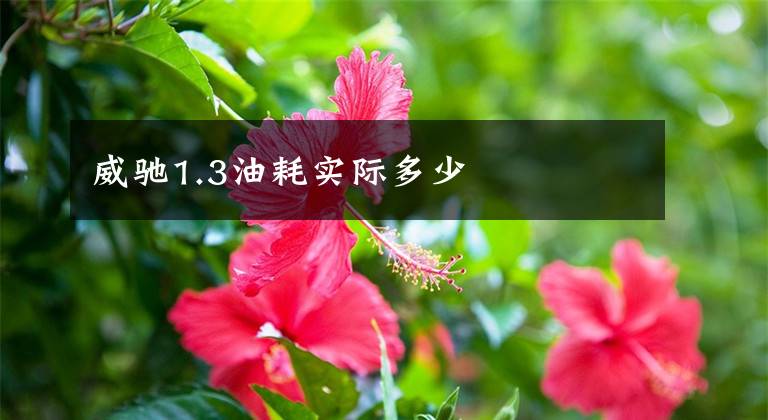 威驰1.3油耗实际多少