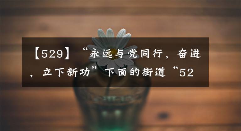 【529】“永远与党同行，奋进，立下新功”下面的街道“529”活动丰富多彩。