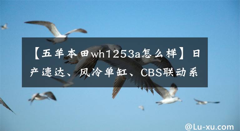 【五羊本田wh1253a怎么样】日产速达、风冷单缸、CBS联动系统、本田高性能休业摩托车！