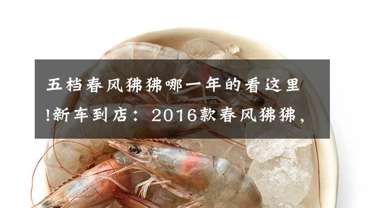 五档春风狒狒哪一年的看这里!新车到店：2016款春风狒狒，撩妹神器，潮人必备