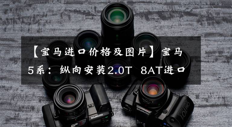 【宝马进口价格及图片】宝马5系：纵向安装2.0T  8AT进口车，价格不便宜，但只是在等人。