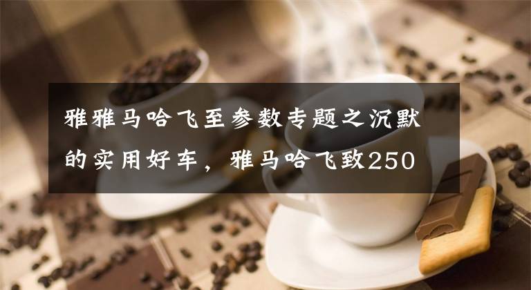 雅雅马哈飞至参数专题之沉默的实用好车，雅马哈飞致250