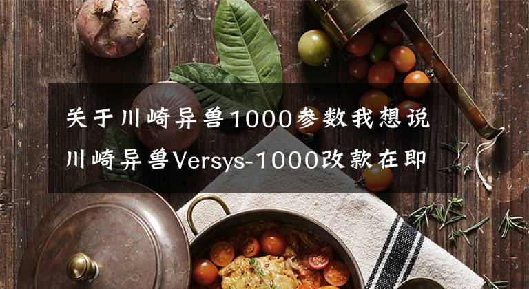 关于川崎异兽1000参数我想说川崎异兽Versys-1000改款在即，造型更犀利？