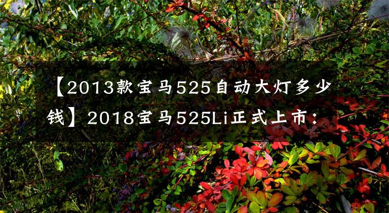 【2013款宝马525自动大灯多少钱】2018宝马525Li正式上市：两款销售43.99万