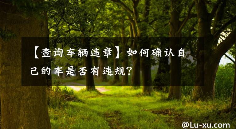 【查询车辆违章】如何确认自己的车是否有违规？