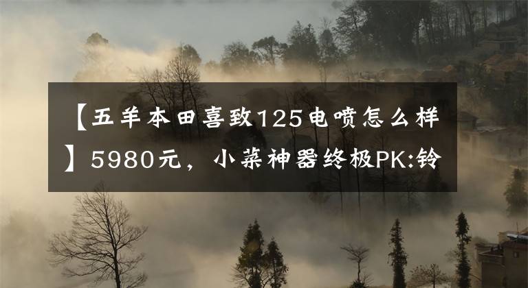 【五羊本田喜致125电喷怎么样】5980元，小菜神器终极PK:铃木西蒙125VS本田125(上图)