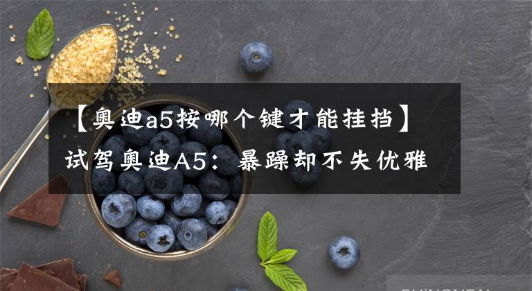 【奥迪a5按哪个键才能挂挡】试驾奥迪A5：暴躁却不失优雅的聪明运动小生