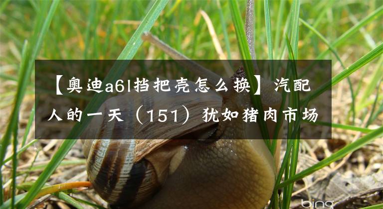 【奥迪a6l挡把壳怎么换】汽配人的一天（151）犹如猪肉市场，拆车德系奥迪A6L车壳