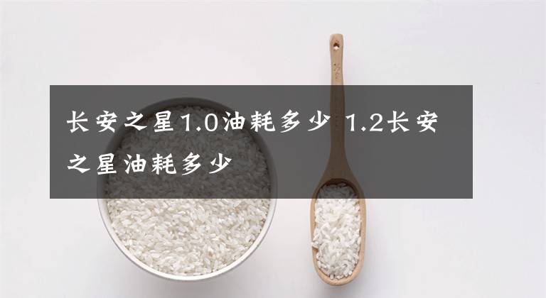 长安之星1.0油耗多少 1.2长安之星油耗多少