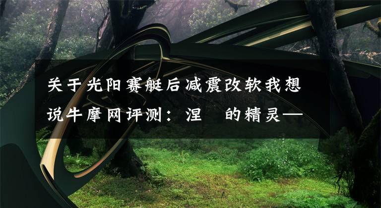 关于光阳赛艇后减震改软我想说牛摩网评测：涅槃的精灵——光阳赛艇300ABS