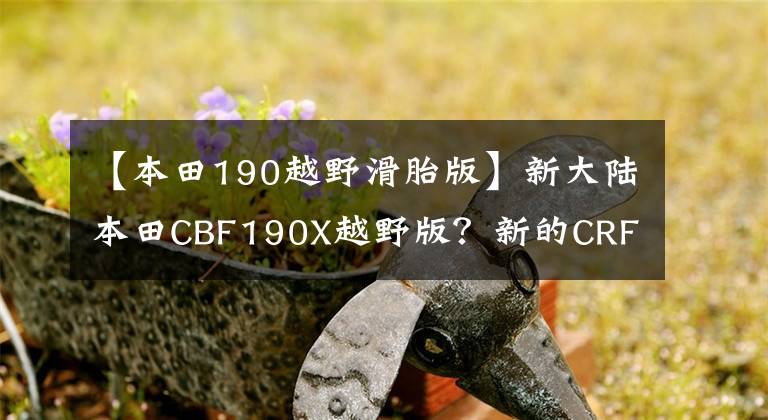 【本田190越野滑胎版】新大陆本田CBF190X越野版？新的CRF190L即将推出