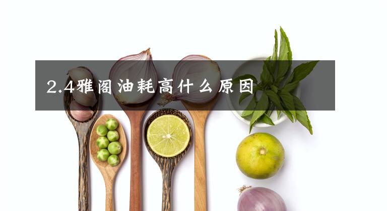 2.4雅阁油耗高什么原因