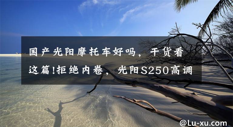国产光阳摩托车好吗，干货看这篇!拒绝内卷，光阳S250高调发布！