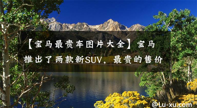 【宝马最贵车图片大全】宝马推出了两款新SUV，最贵的售价为99.69万韩元，比特斯拉model  X加快了速度。