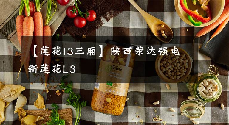 【莲花l3三厢】陕西荣达强电新莲花L3