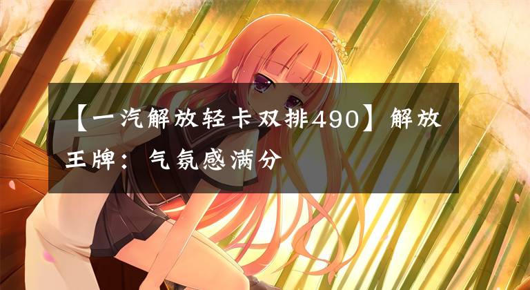 【一汽解放轻卡双排490】解放王牌：气氛感满分
