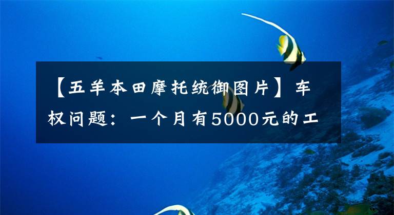 【五羊本田摩托统御图片】车权问题：一个月有5000元的工资，应该选择本田125的什么车？