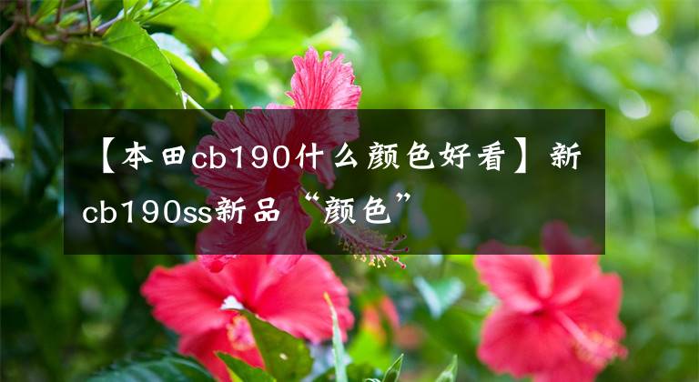 【本田cb190什么颜色好看】新cb190ss新品“颜色”