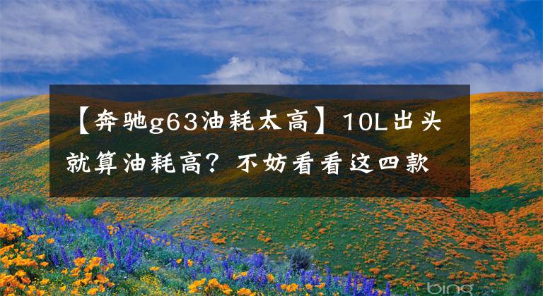 【奔驰g63油耗太高】10L出头就算油耗高？不妨看看这四款“油老虎”，纳智捷都靠后